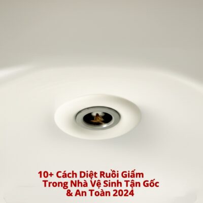 10+ Cách Diệt Ruồi Giấm Trong Nhà Vệ Sinh Tận Gốc & An Toàn 2024