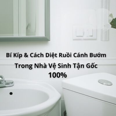 Bí Kíp & Cách Diệt Ruồi Cánh Bướm Trong Nhà Vệ Sinh Tận Gốc 100%