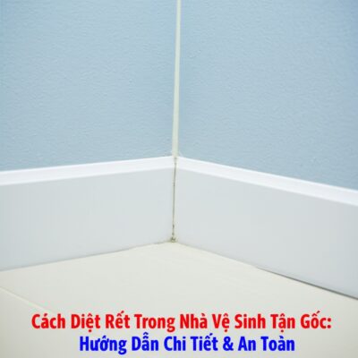 Cách Diệt Rết Trong Nhà Vệ Sinh Tận Gốc: Hướng Dẫn Chi Tiết & An Toàn