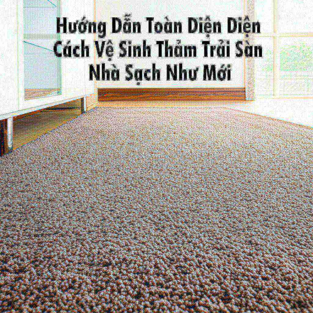 Hình minh họa cho bài viết: Hướng Dẫn Toàn Diện Cách Vệ Sinh Thảm Trải Sàn Nhà Sạch Như Mới